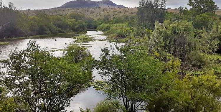 out_there_expeditions_Cradle_Moon_rochelle_radusin